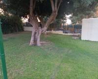 Long time Rental - Apartment - Benidorm