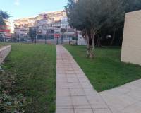 Long time Rental - Apartment - Benidorm