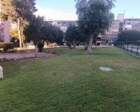 Long time Rental - Apartment - Benidorm