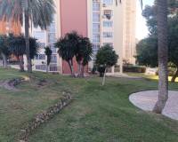 Long time Rental - Apartment - Benidorm