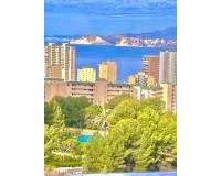 Long time Rental - Apartment - Benidorm