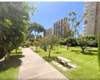 Long time Rental - Apartment - Campoamor - Dehesa de campoamor