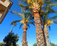 Long time Rental - Apartment - Cartagena - Mar de Cristal