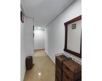 Long time Rental - Apartment - Guardamar del Segura - Guardamar