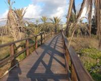 Long time Rental - Apartment - Guardamar del Segura - PARQUE ALFONSO XIII