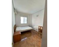 Long time Rental - Apartment - Los Montesinos - LOS MONTESINOS