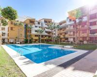 Long time Rental - Apartment - Orihuela Costa - Punta Prima