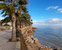 Long time Rental - Apartment - Pilar de la Horadada - El Mojón