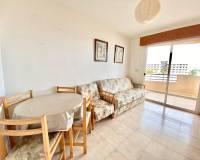 Long time Rental - Apartment - Pilar de la Horadada - Mil Palmeras