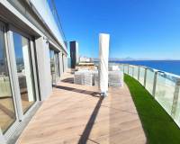 Long time Rental - Apartment - San Juan Playa - Cabo De Las Huertas