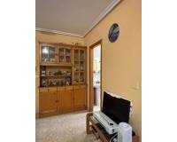 Long time Rental - Apartment - Torrevieja - Acequion