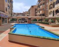 Long time Rental - Apartment - Torrevieja - Centro