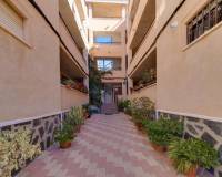 Long time Rental - Apartment - Torrevieja - El Chaparral