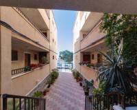 Long time Rental - Apartment - Torrevieja - El Chaparral