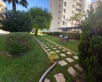Long time Rental - Apartment - Torrevieja - La veleta
