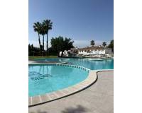 Long time Rental - Apartment - Torrevieja - Los altos