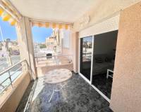 Long time Rental - Apartment - Torrevieja - Playa de los Locos