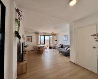 Long time Rental - Apartment - Torrevieja - Playa de los Locos