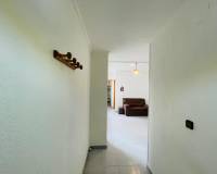 Long time Rental - Apartment - Torrevieja - Playa del Cura