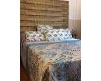 Long time Rental - Apartment - Torrevieja - Playa del Cura