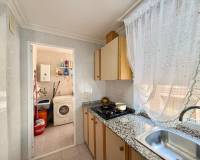 Long time Rental - Apartment - Torrevieja - Playa del Cura