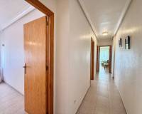 Long time Rental - Apartment - Torrevieja - Playa del Cura