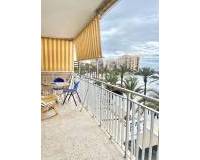 Long time Rental - Apartment - Torrevieja - Playa del Cura