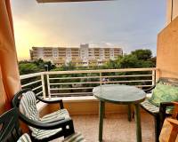 Long time Rental - Apartment - Torrevieja - Playa del Cura