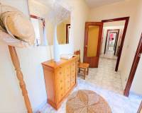 Long time Rental - Apartment - Torrevieja - Playa del Cura