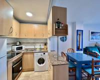 Long time Rental - Apartment - Torrevieja - Playa del Cura