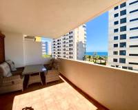 Long time Rental - Apartment - Torrevieja - Punta prima