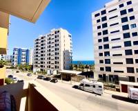 Long time Rental - Apartment - Torrevieja - Punta prima