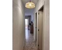 Long time Rental - Apartment - Torrevieja - Torre del moro