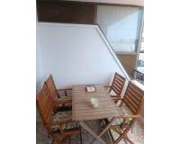 Long time Rental - Apartment - Torrevieja - Torre del moro