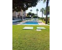 Long time Rental - Apartment - Torrevieja - Torre del moro