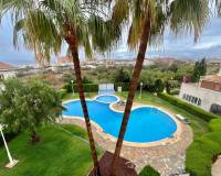 Long time Rental - Apartment - Torrevieja - Torreblanca