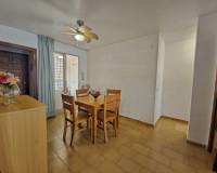 Long time Rental - Apartment - Torrevieja - torrevieja