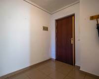 Long time Rental - Apartment - Torrevieja - torrevieja