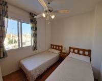 Long time Rental - Apartment - Torrevieja - torrevieja