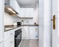 Long time Rental - Apartment - Torrevieja - torrevieja