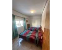 Long time Rental - Apartment - Torrevieja - torrevieja