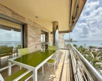 Long time Rental - Apartment - Torrevieja - torrevieja
