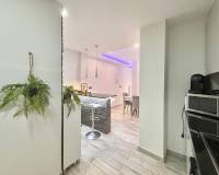 Long time Rental - Apartment - Torrevieja - torrevieja