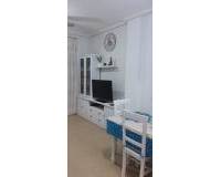 Long time Rental - Apartment - Torrevieja - torrevieja