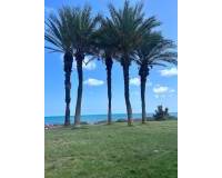 Long time Rental - Apartment - Torrevieja - torrevieja