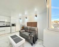 Long time Rental - Apartment - Torrevieja - torrevieja