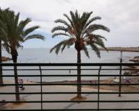 Long time Rental - Apartment - Torrevieja - torrevieja