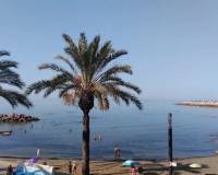 Long time Rental - Apartment - Torrevieja - torrevieja