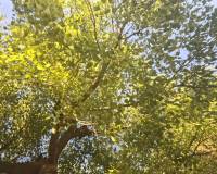 Long time Rental - Chalet - Cabo Roig