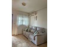 Long time Rental - Ground Floor - Torrevieja - torrevieja